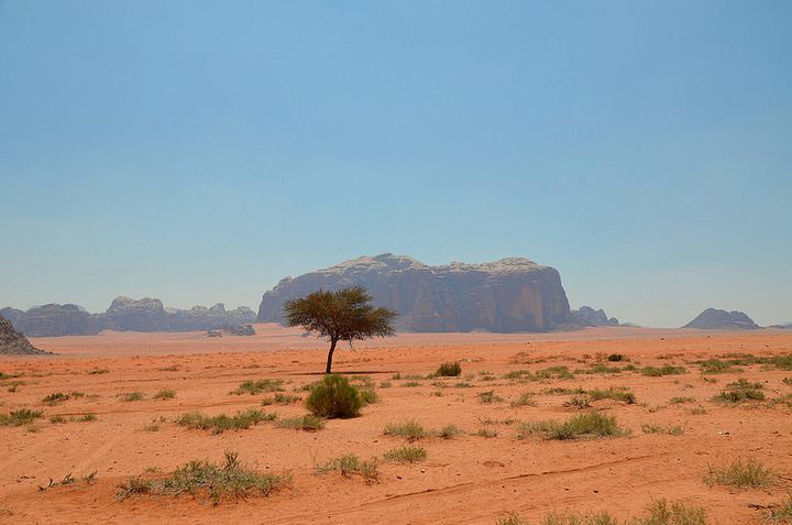 ワディ ラムのスケールがすごすぎる ヨルダンの砂漠を満喫するツアーに参加しよう Retrip リトリップ