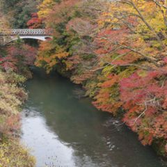 ライトアップも行われる石川県の人気紅葉スポット 山中温泉の 鶴仙渓 に行きたい Retrip リトリップ