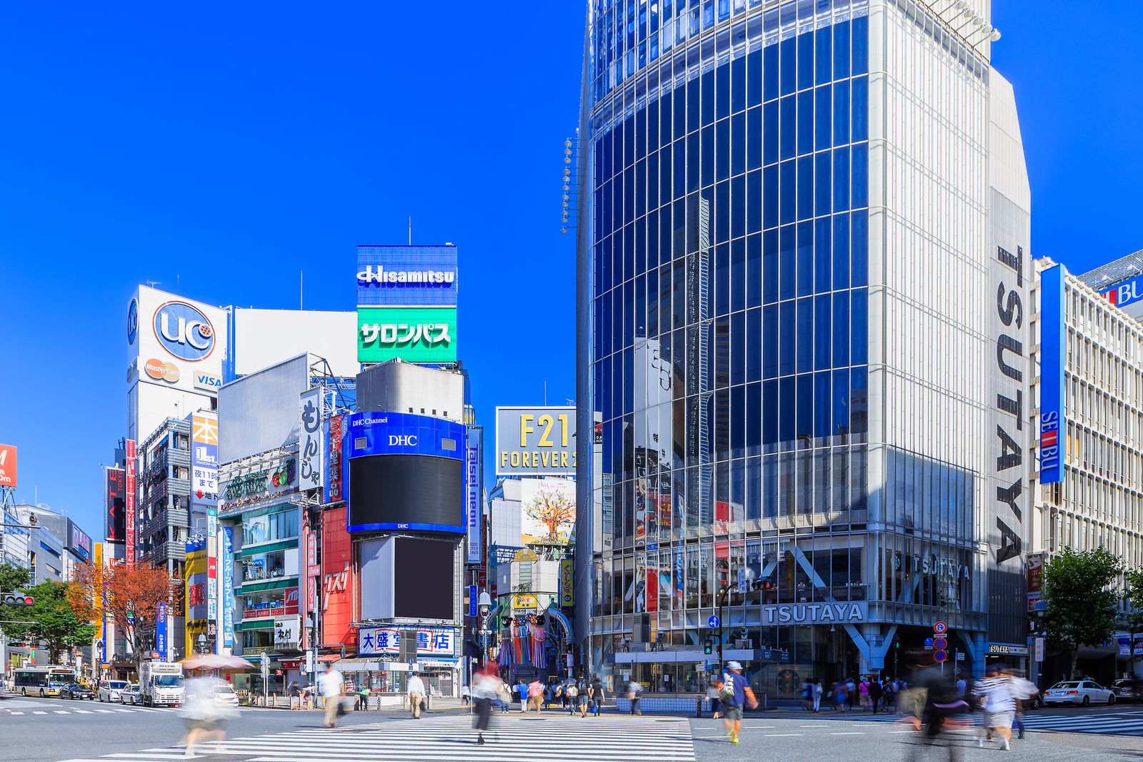 3枚目の画像 | 銀座に続いてオープン！渋谷で密かに誕生した「シブヤキャスト」とは | RETRIP[リトリップ]