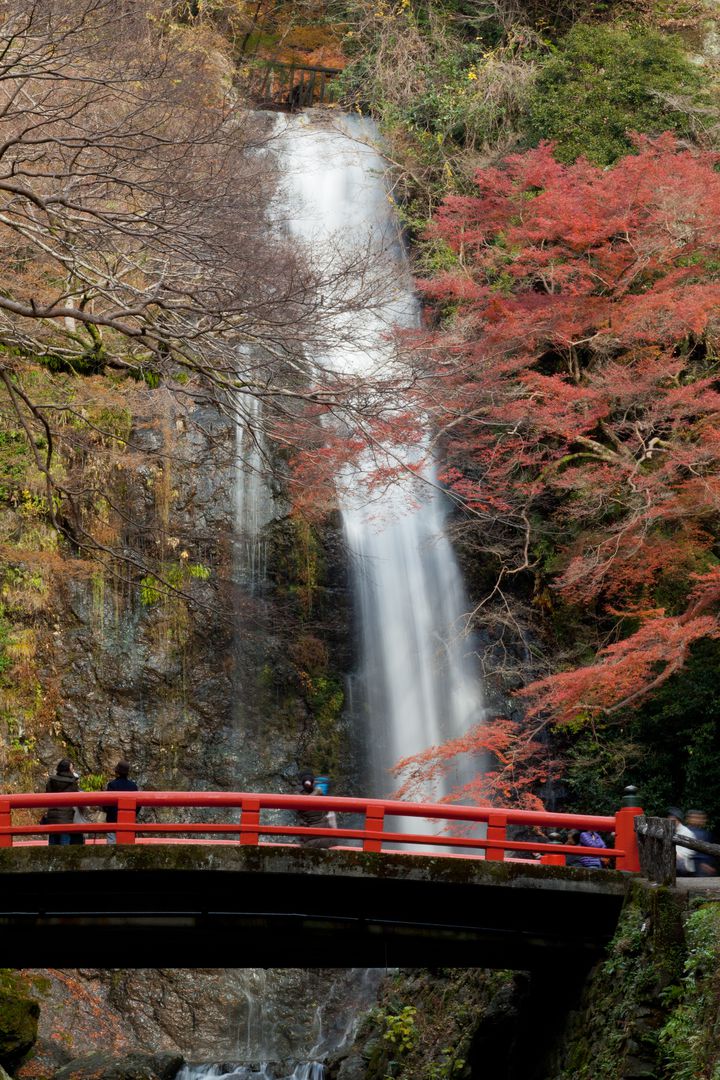 爽やかでフレッシュな癒しの緑 関西地方の新緑が美しい絶景スポット17選 Retrip リトリップ