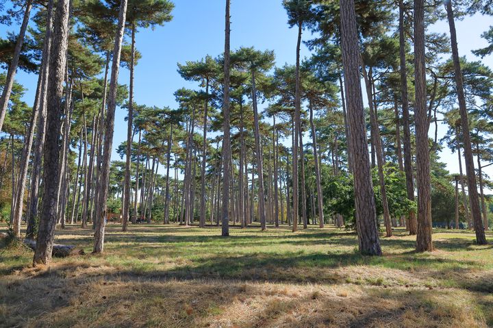 子供と大人が一緒に楽しめる この夏行きたい 甲信越 の公園15選 Retrip リトリップ