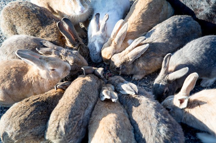 今年の夏は 写真映えの 島旅 に決まり 独自の文化を楽しめる日本の島８選 Retrip リトリップ