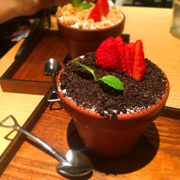 インスタで話題の植木鉢スイーツ！スコップで食べる“フラワーポット”が