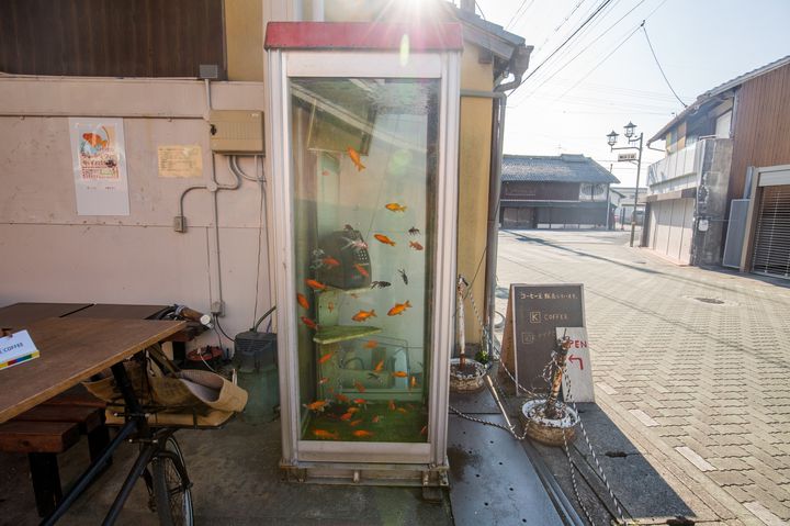 まさに金魚だらけな街！奈良の「柳町商店街」がとにかく金魚づくしだった