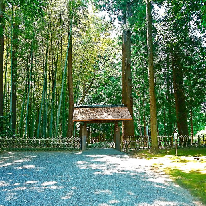 実はパワースポットの宝庫！ドライブで行きたい“茨城日帰りプラン”はこれだ