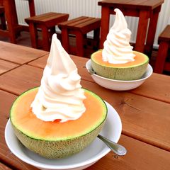 まるごとメロンの贅沢ソフトクリーム！北海道「ポプラファーム」って