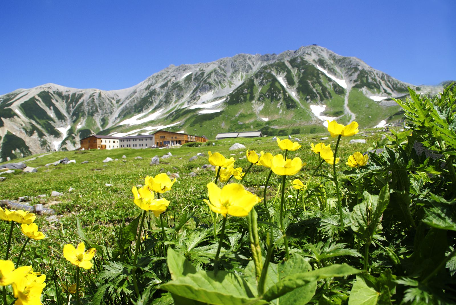 本当の絶景に会いに!この夏こそ「立山黒部アルペンルート」に行くべき7つの理由 | くふうトリップ(旧RETRIP)