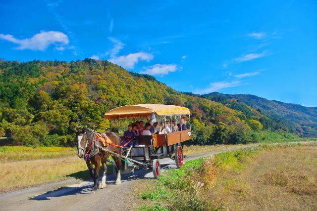 京都嵐山からトロッコ列車に乗ってgo 亀岡のおすすめ観光スポット5選 Retrip リトリップ