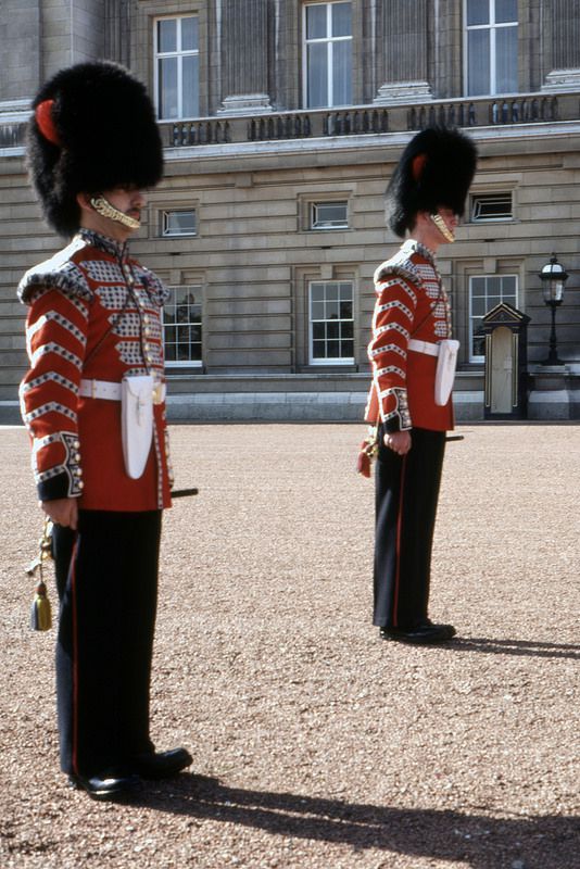 ロンドン観光のハイライト バッキンガム宮殿の衛兵交替式 の見どころ Retrip リトリップ