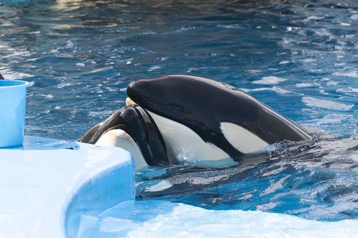 家族連れやカップルで楽しもう！愛知県にある水族館5選