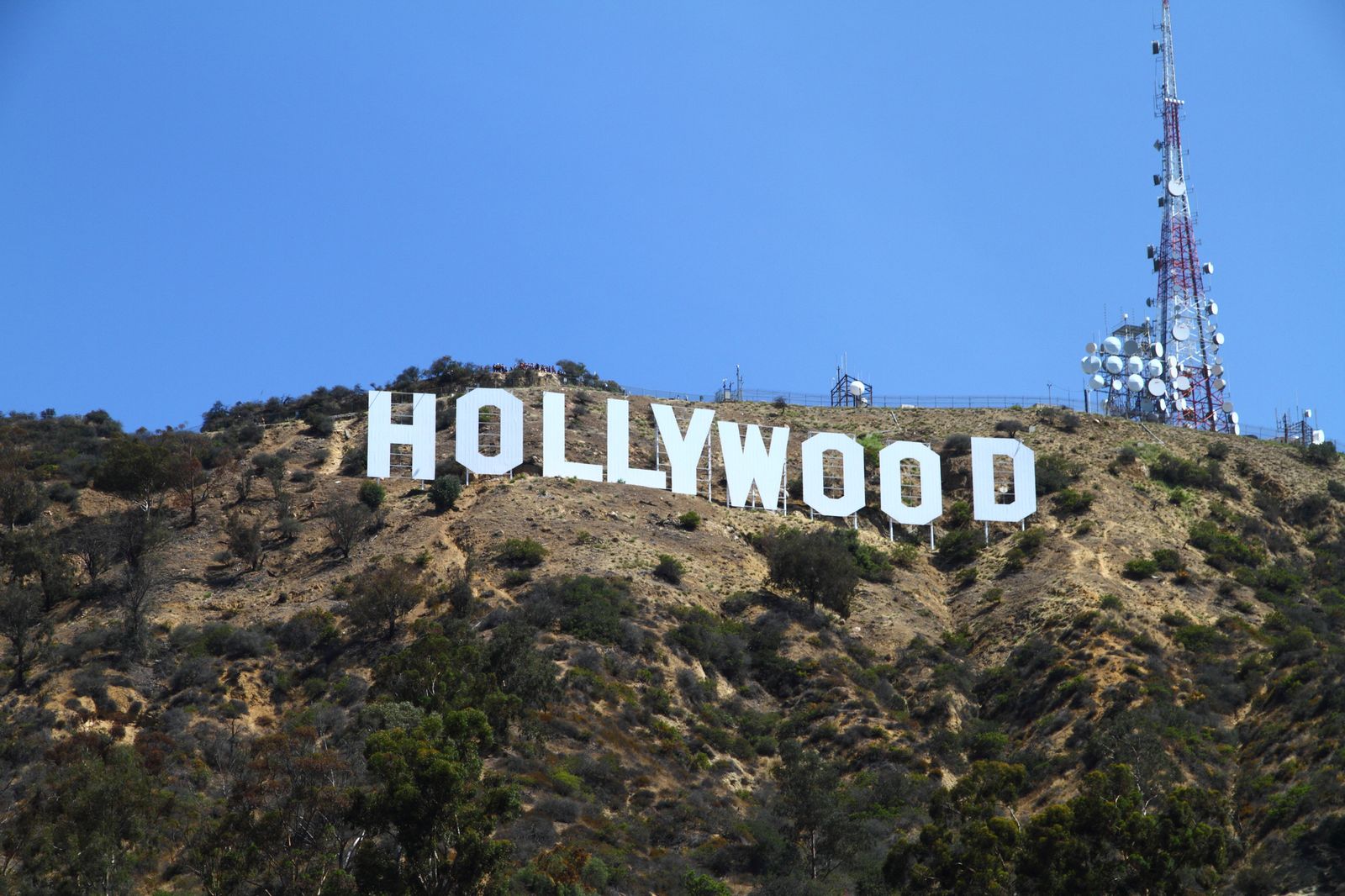 ハリウッドのアメリカ Hollywood's America Hollywood's America