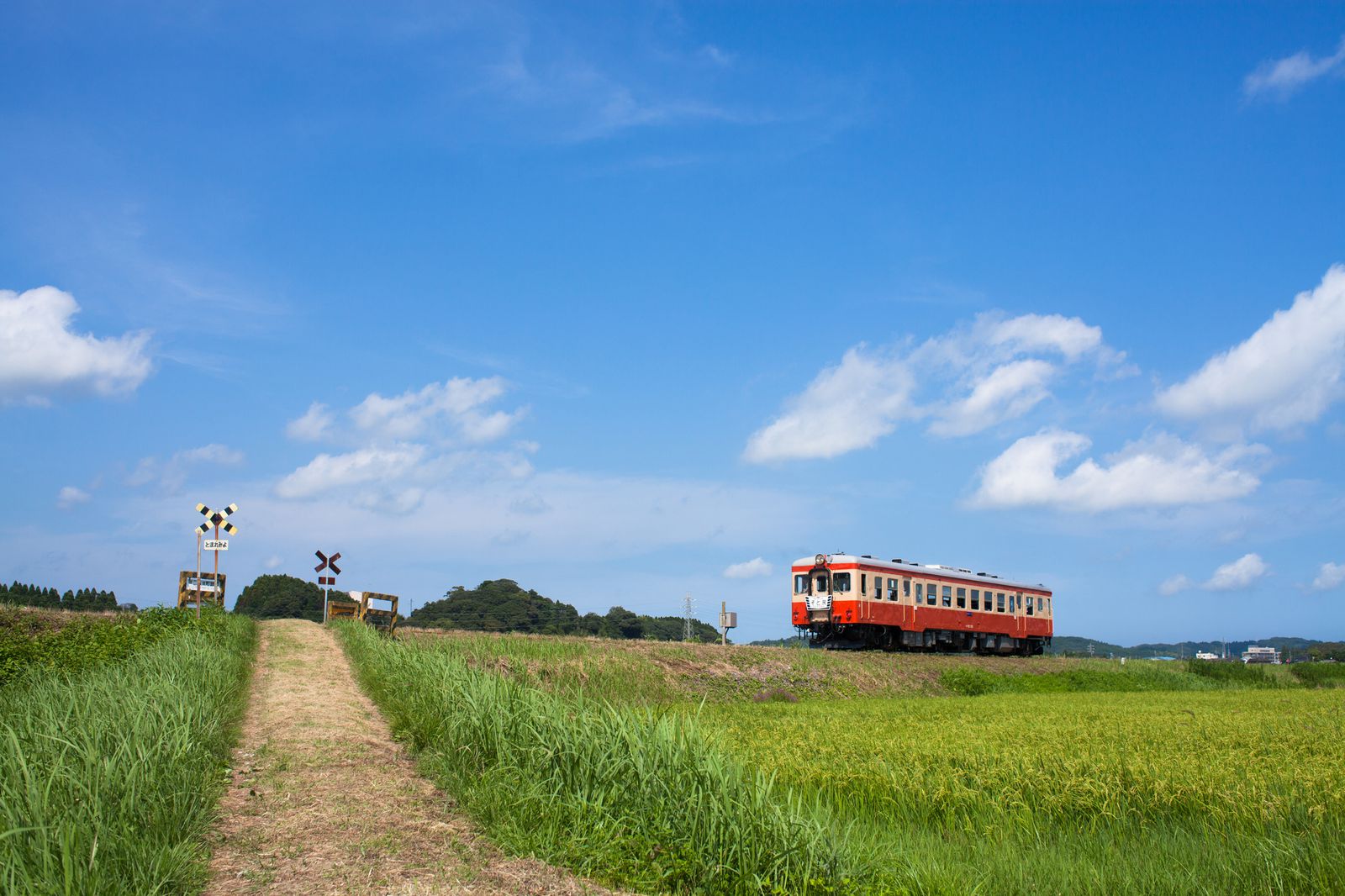 メイン画像 車窓から眺める夏の絶景 日本の原風景に郷愁を誘われる全国ローカル線の旅5選 Retrip リトリップ