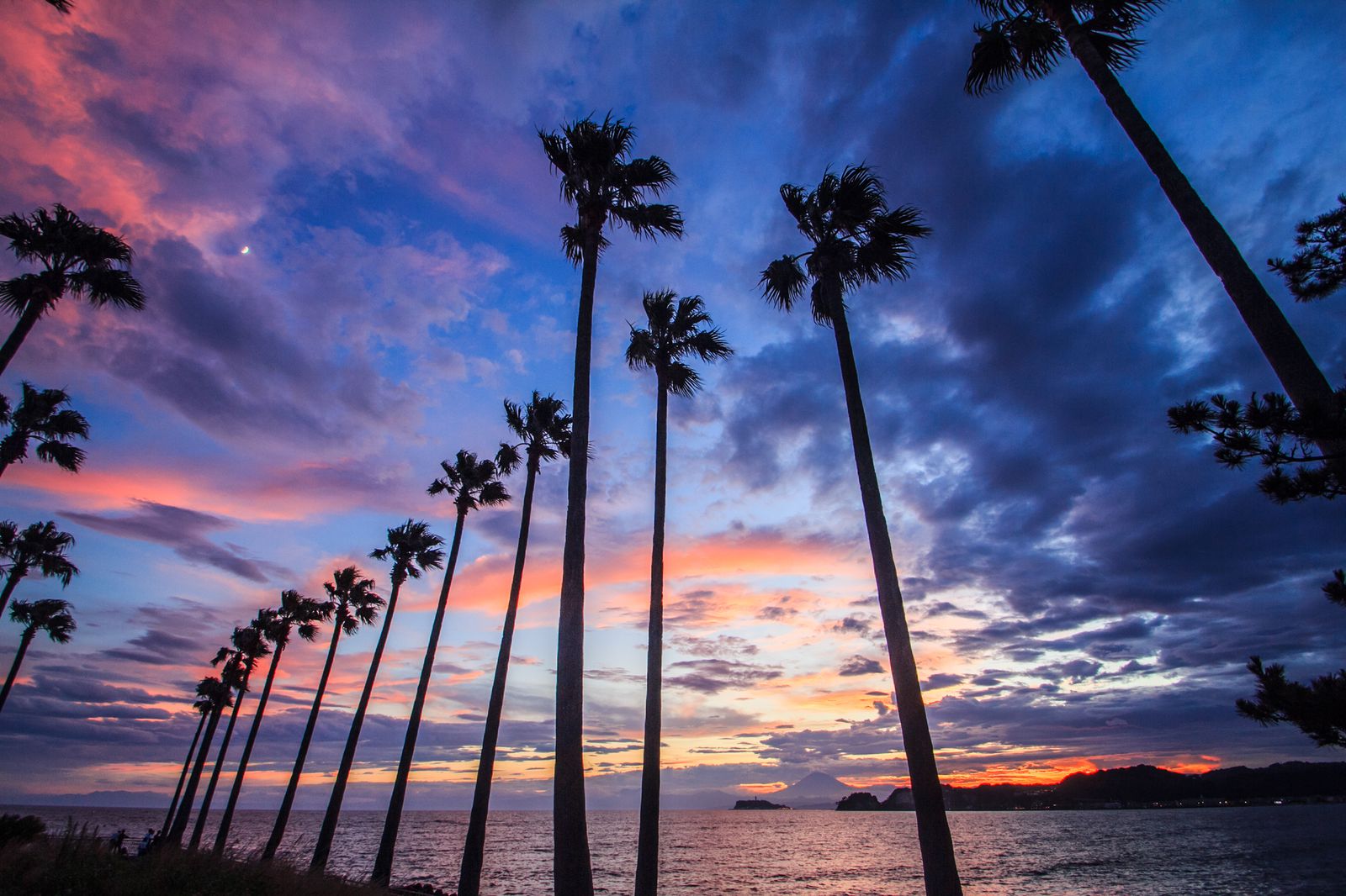 南国リゾート気分でさらば日常 逗子 葉山のおすすめ観光 グルメスポット12選 Retrip リトリップ