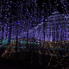 光の幻想にくぎづけ 島根県由志園秋冬ライトアップ イルミネーション Retrip リトリップ