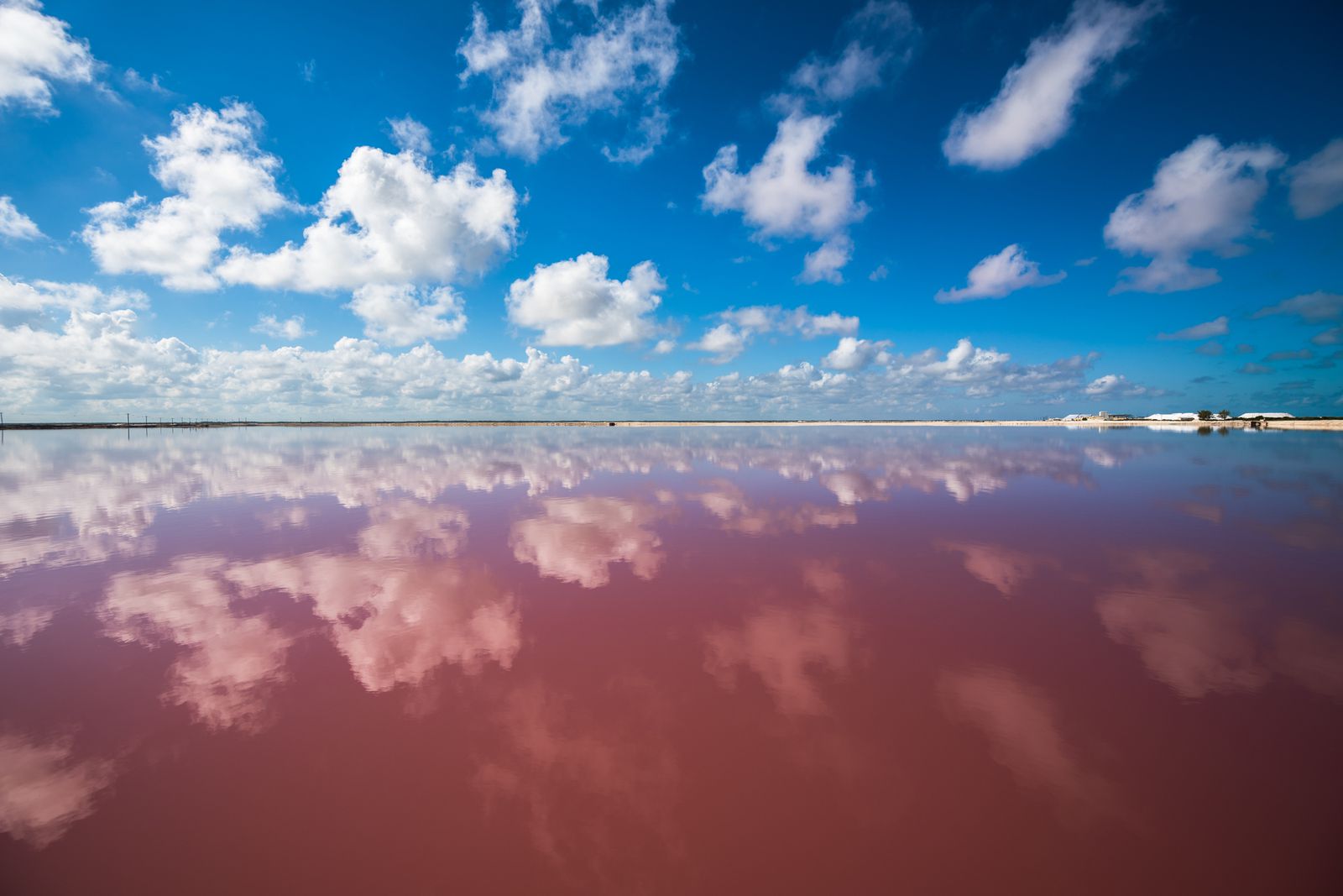 夢 占い 綺麗 な 景色 写真 を 撮る