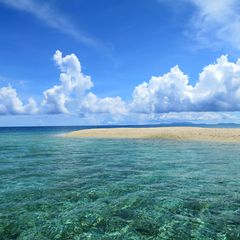 90894c099d8c2-7fc8-45b0-a9ae-