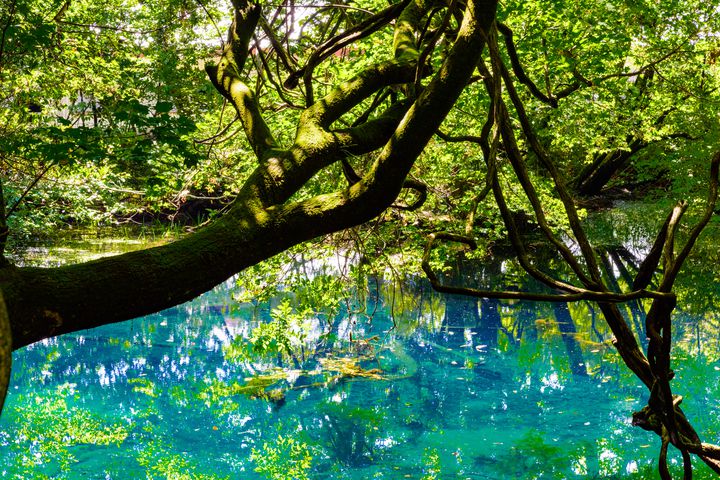 暑い夏は水辺で涼しく癒されよう！この夏行きたい東北の絶景スポット11選