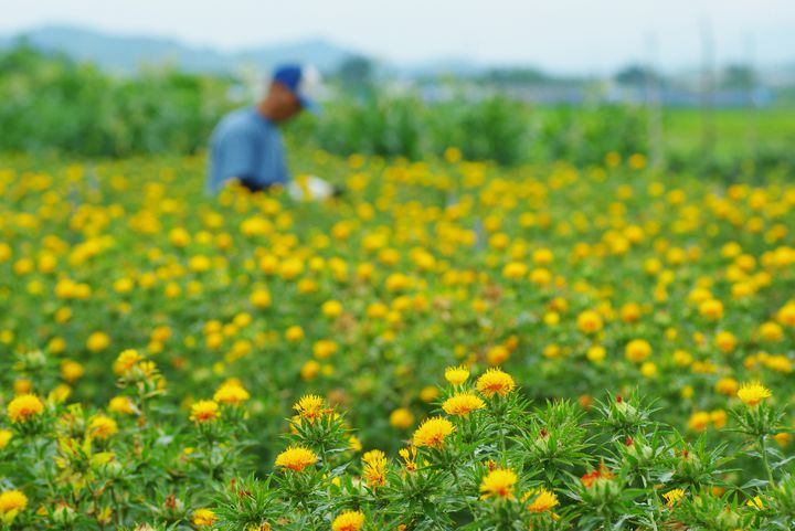 実は神秘的な絶景の宝庫 山形県民が教える 山形の夏の絶景 10選 Retrip リトリップ