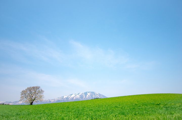 お土産に困ったら…！今、女性に人気のおススメな岩手のお土産7選