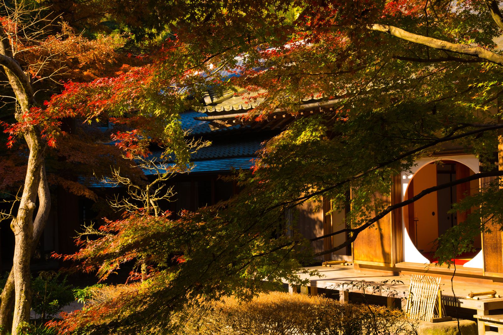 秋 大阪 デート 車 デート 彼女