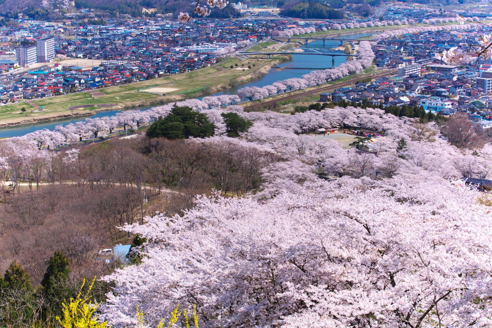 桜の絶景を見るなら宮城で 宮城でおすすめの桜名所5選 Retrip リトリップ
