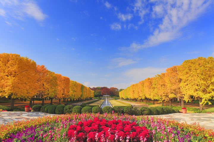 大切な人と愛を深めたいあなたへ 秋の東京都内のおすすめ公園デートスポット8選 Retrip リトリップ