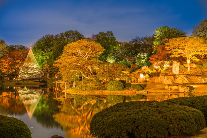 今年は記憶に残る紅葉を。関東のいつもと違った見方ができる紅葉の16の場所と方法