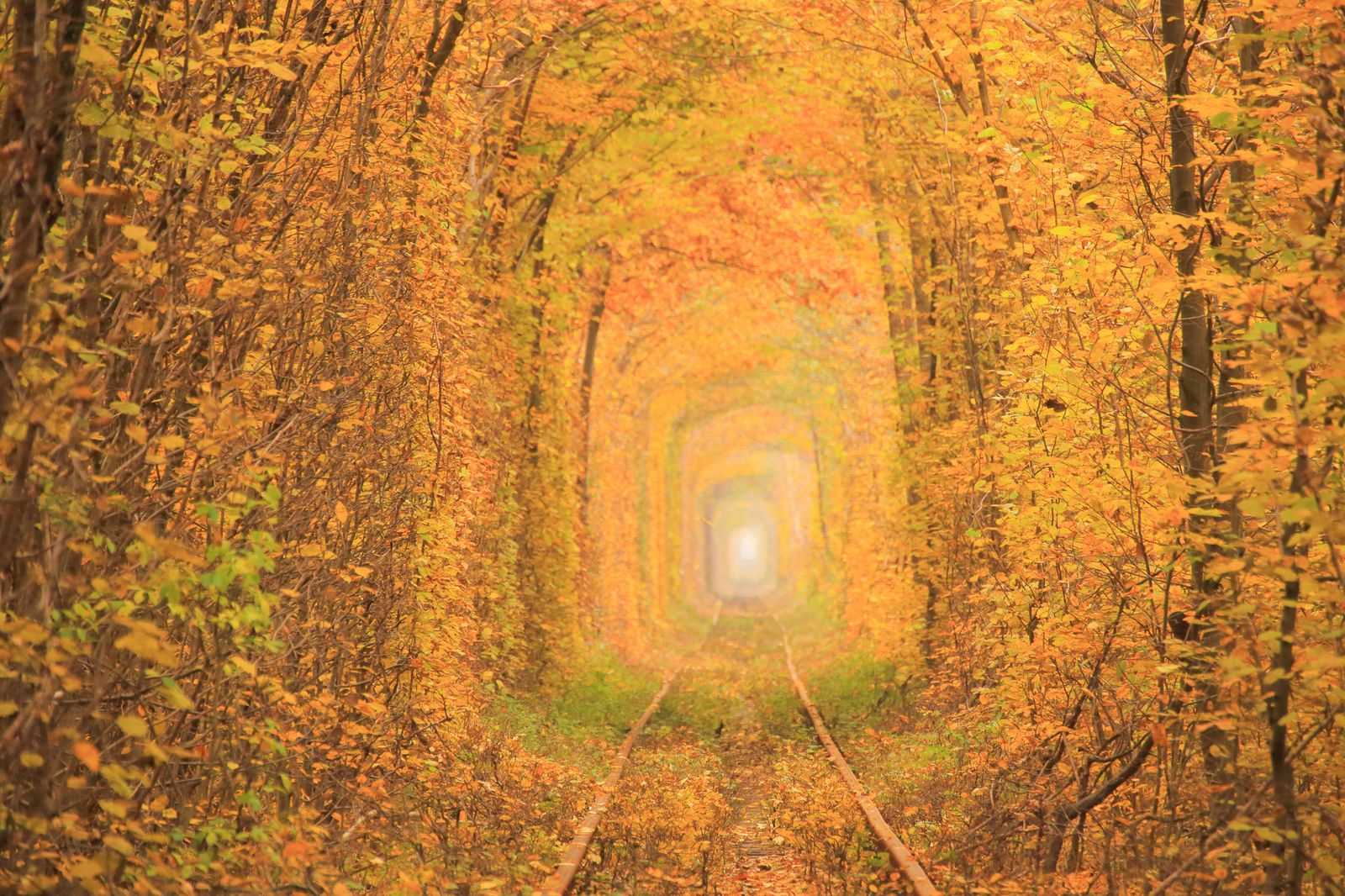 愛 恋のトンネル The Tunnel Of Love Retrip リトリップ 愛 恋のトンネル The Tunnel Of Love Retrip リトリップ