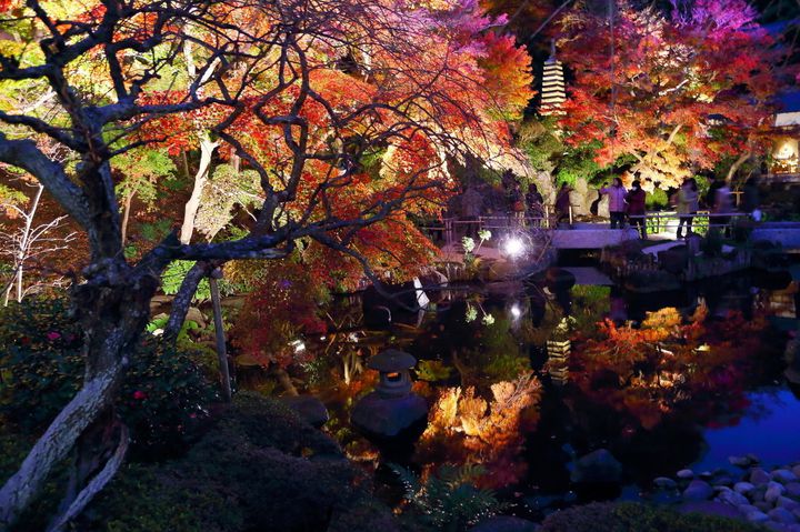 心にしみいる艶やかな絶景 秋の鎌倉デートで行きたい紅葉スポット8選 Retrip リトリップ
