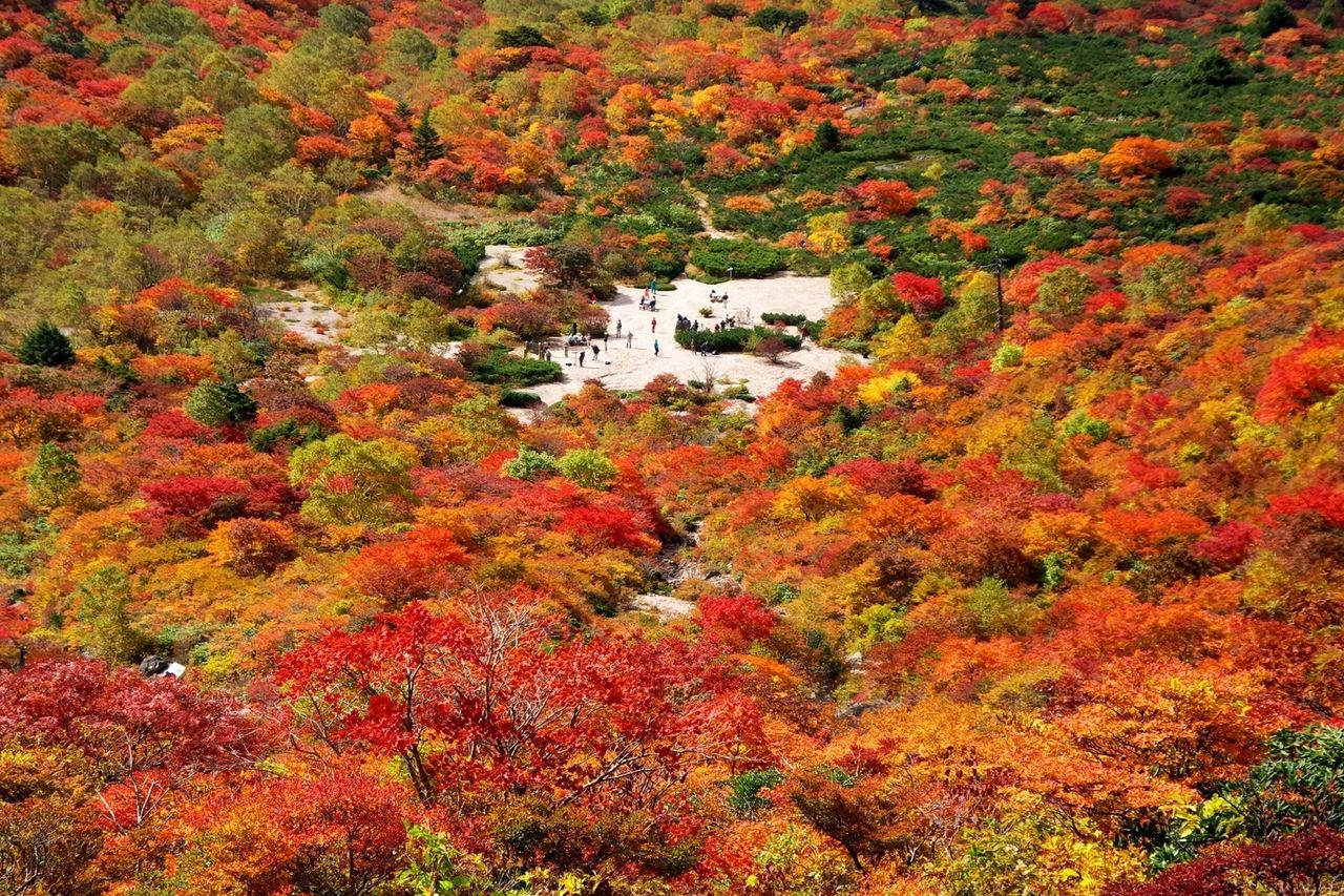 真っ赤な景色を見に行こう！日本の美しすぎる紅葉を見られる山8