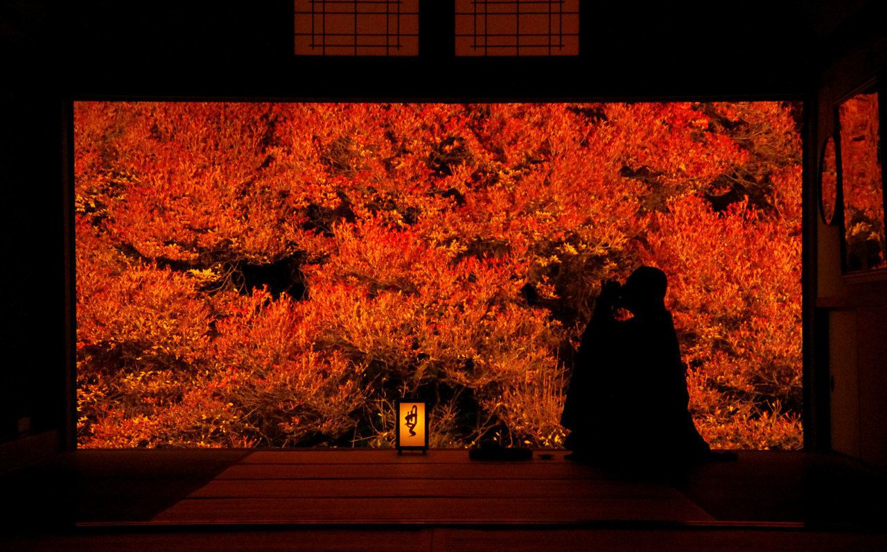 アンティーク 絵画 紅葉 風景 秋 季節 木々 景色 自然 芸術 美術 作品 水彩画】紅葉の木々を美しく描くポイント【京都・二尊院】 - YouTube