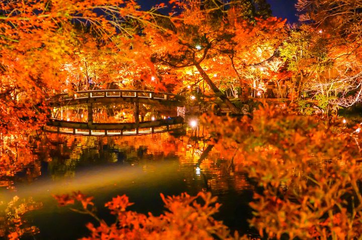 秋夜に浮かぶ古都の絶景。2020年京都紅葉ライトアップ名所まとめ