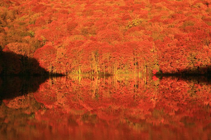 “水”が生み出す神秘的な世界へ。日本国内の“水鏡”が美しい絶景スポット8選