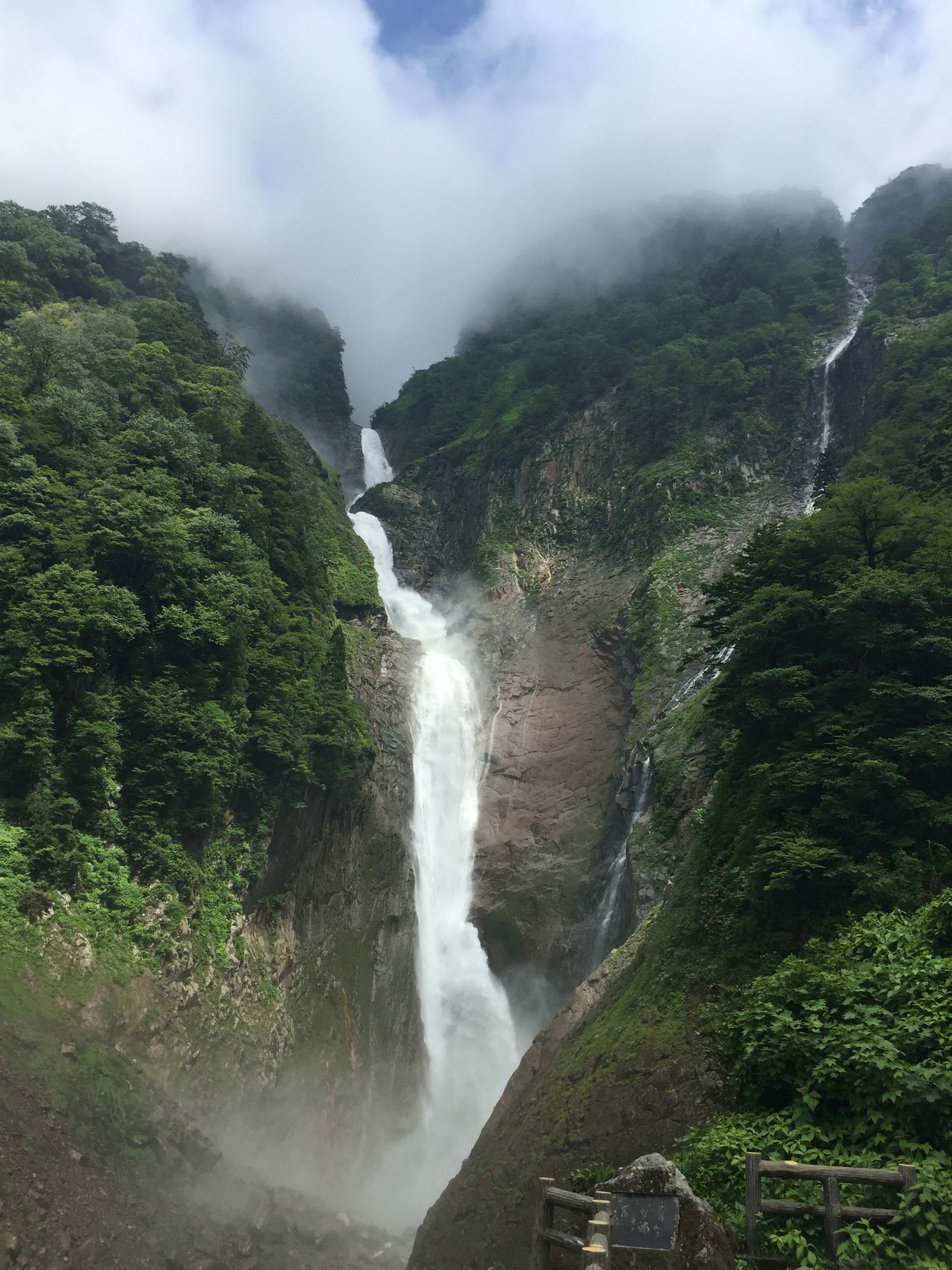 5枚目の画像 森林浴の森 日本100選 に選ばれた 立山黒部アルペンルートの美女平 Retrip リトリップ