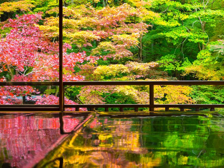 秋の旅行やお出かけに！日本国内の秋限定&今話題の絶景スポットまとめ