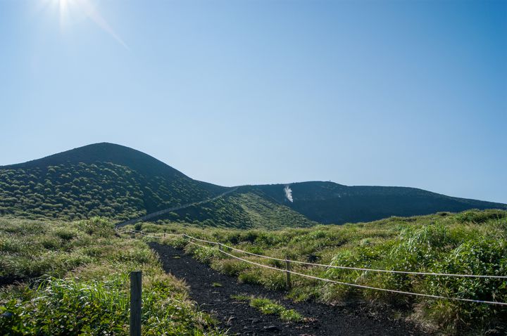 びじん大島 織物 青系 物入り 緑系 自然風景
