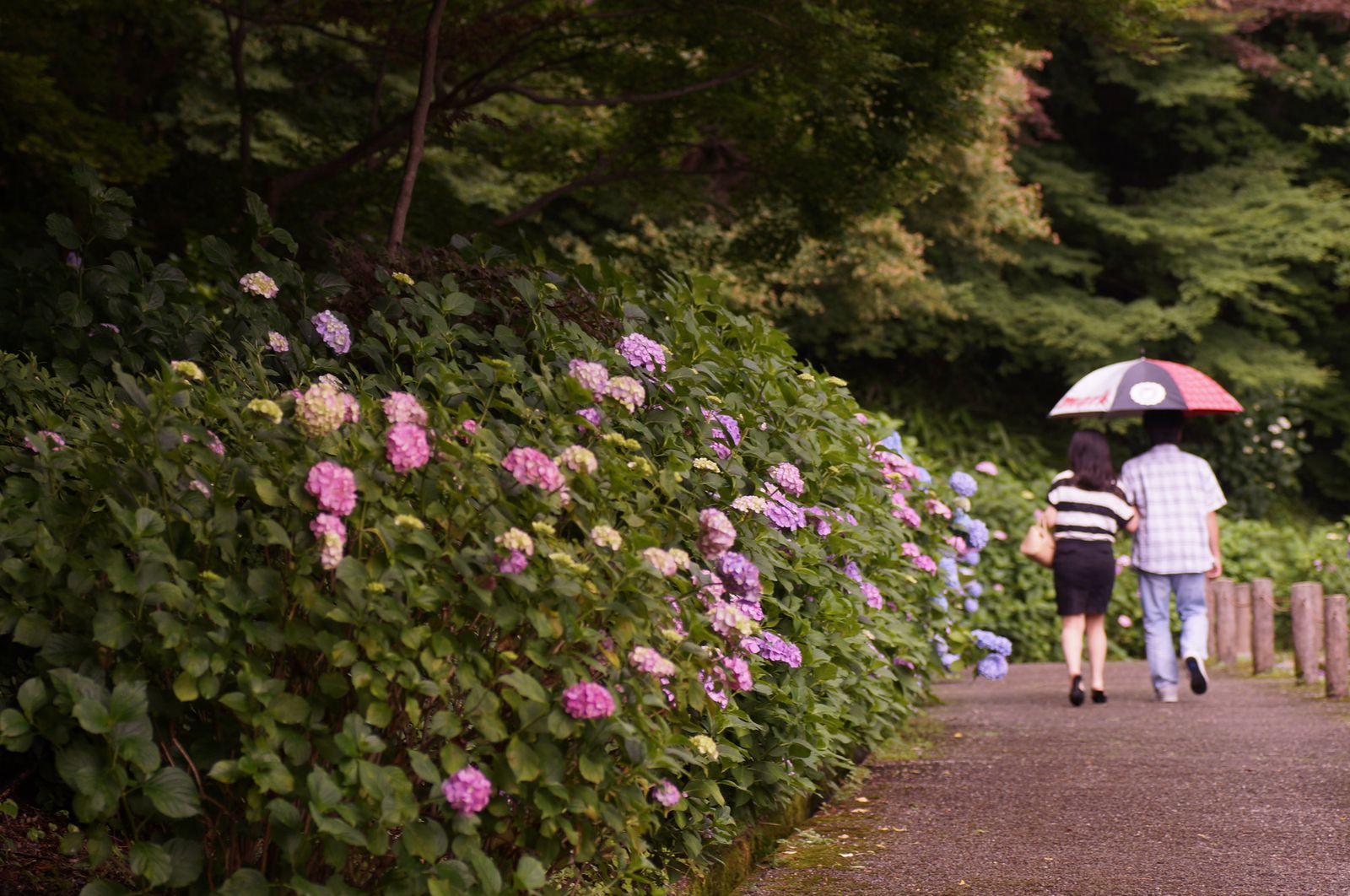 近畿 雨の日 デート 出会い系サイト