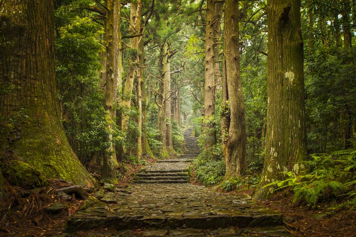 一段一段に歴史と風情を感じて。日本国内の歩いてみたい“神秘的な石段