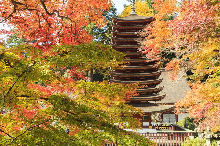 京都に負けない秋の絶景 奈良県の 紅葉 古都 が美しい人気紅葉スポット7選 Retrip リトリップ