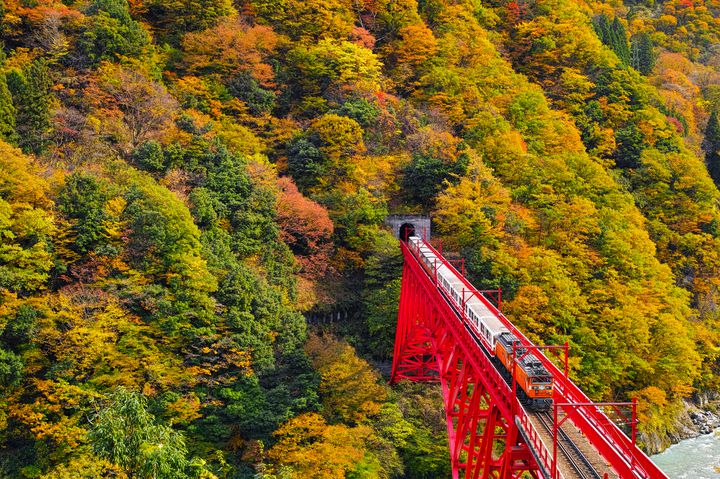 週末は “秋色”デート旅行で決まり！ 秋に行きたい1泊2日カップル旅プラン11選
