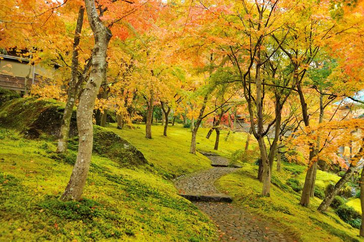 秋デートにもオススメ 箱根 で絶対行くべき紅葉スポット8選 Retrip リトリップ