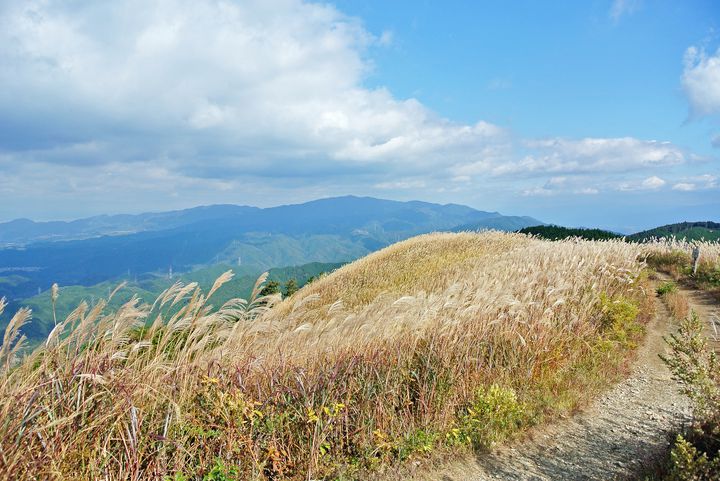 黄金色に輝く秋の絶景 秋のお出かけで行きたい日本全国の美しい すすき草原 7選 Retrip リトリップ