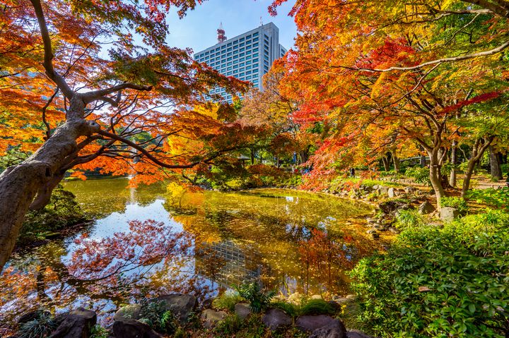 この秋行きたい 紅葉とピクニックが楽しめる東京都内の おすすめ公園 12選 Retrip リトリップ