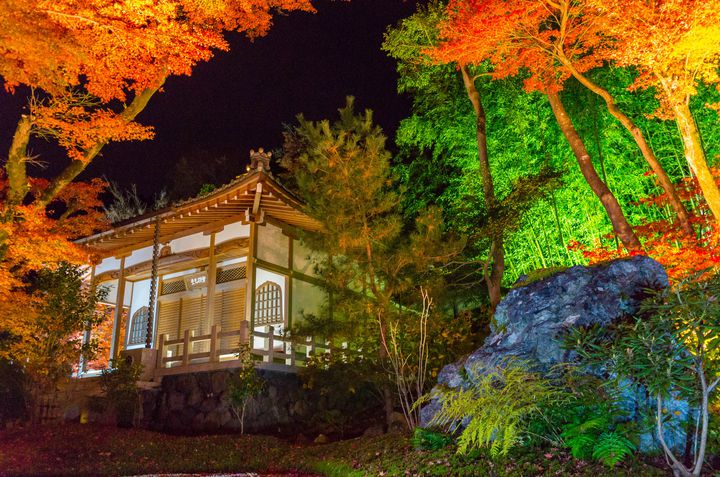 【終了】12月の京都を彩る絶景ライトアップ！「京都 嵐山花灯路2019」開催