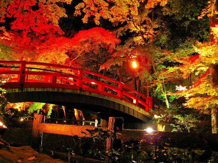秋夜に浮かぶ古都の絶景 年京都紅葉ライトアップ名所まとめ Retrip リトリップ
