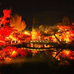 ニュース画像