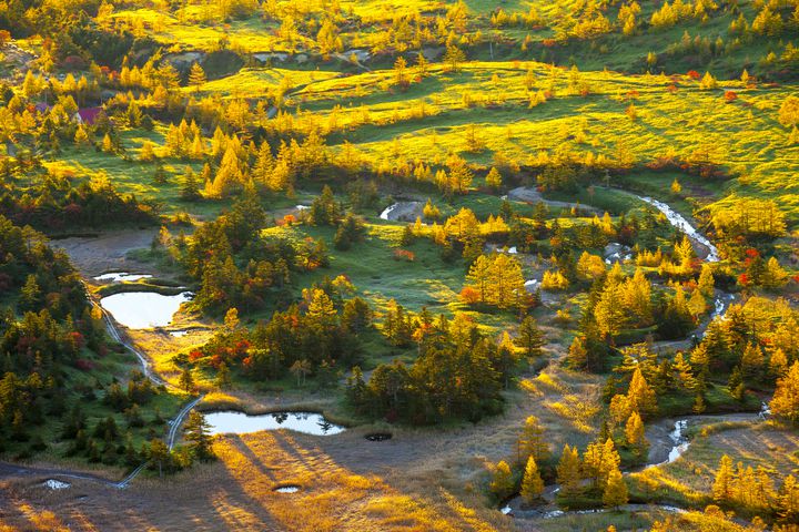 それはまるで絵画のような美しさ 群馬県 芳ヶ平 の絶景に目が釘付け Retrip リトリップ
