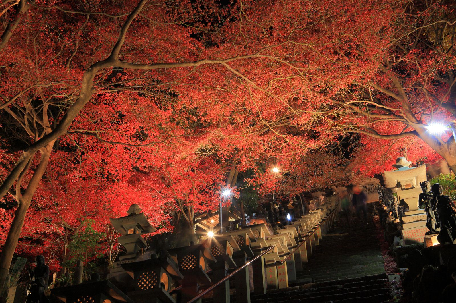 96915ab1c8c13-f3ec-45be-a47e-