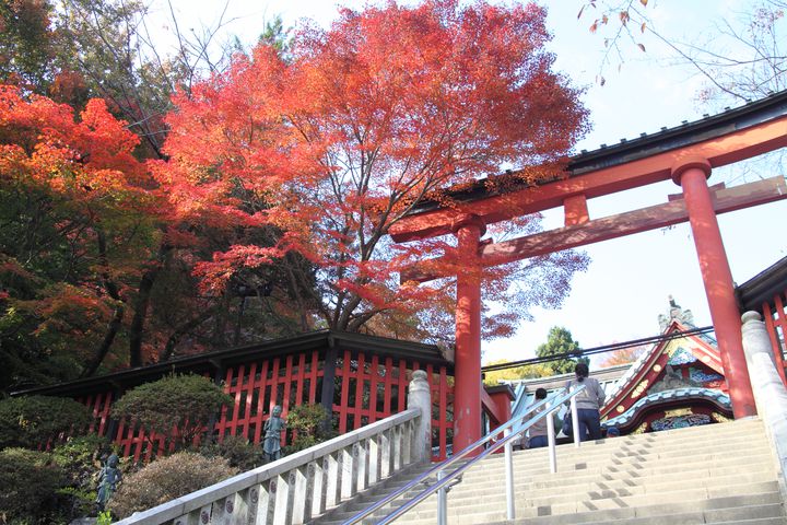 あと少し頑張りたい時に。きっと力が湧いてくる東京都内のパワースポット7選