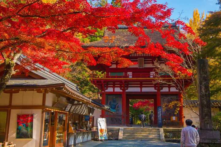 京都に負けない秋の絶景！奈良県の紅葉×古都が美しい人気紅葉スポット8選